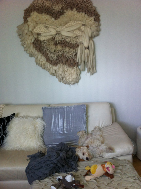 Monday S Pets On Furniture