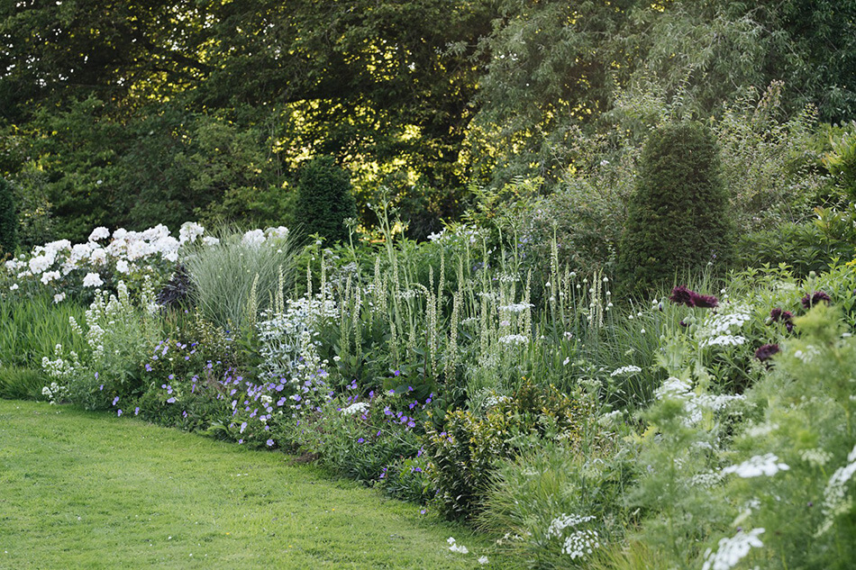 A landscape designer’s garden in Somerset