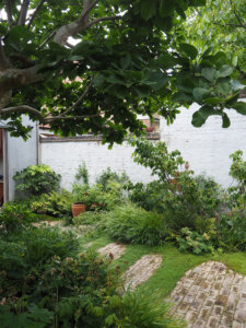 A walled garden in Brixton